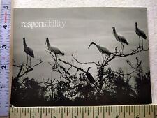 Postcard Migratory Birds picture