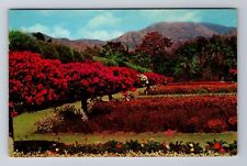 Hope-Kingston, Royal Botanic Gardens, Antique, Vintage c1961 Souvenir Postcard picture