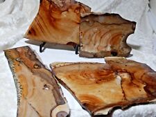 Picture or Owyhee Jasper Slabs  Lot of four pieces  1lb. 1 oz.  picture