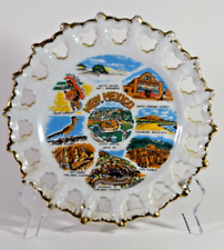 Vintage 1950s New Mexico State Souvenir Plate picture