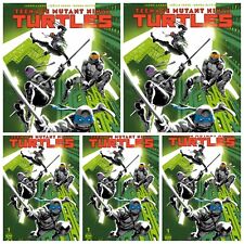 5 Pack Teenage Mutant Ninja Turtles #1 Cover A IDW PRESALE 7/24 TMNT 2024 picture