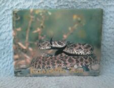Rattlesnake Knoxville Zoo Tennessee Magnet Souvenir Refrigerator Travel MB105 picture
