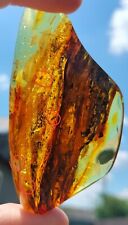 Baltic natural amber, four small fossil insects. Weight 37 grams. picture