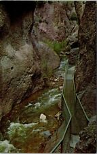 Catwalk Through Whitewater Creek Canyon New Mexico Vintage Postcard picture