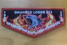 2010 Vintage Owaneco Lodge 313 Order Of The Arrow Lodge Flap BSA picture