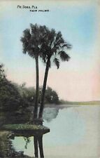 A View Of The Twin Palms, Mount Dora, Florida FL picture
