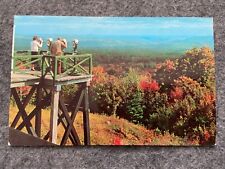 View from Hogback Mt., Molly Stark Trail, Vermont Vintage Postcard picture