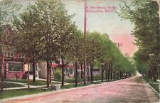 A Residence Street Marquette Michigan MI c1910 Postcard picture