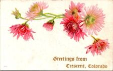 Crescent CO Greetings Colorado Pink Red Flowers Embossed 1909 postcard DP4 picture