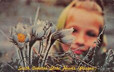 Mitchell SD South Dakota Pasque Flower Spring Bloom Rebirth Vtg Postcard S7 picture