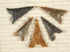 Lot of FIVE Nice Ancient Tidikelt Arrowheads 9.21 picture