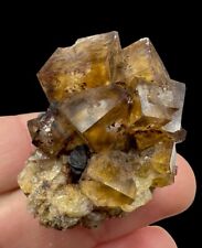 Bi-Color Fluorite Crystals: Bergmannisch Glück Mine . Saxony, Germany 🇩🇪 picture