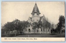 Princeton Minnesota Postcard Mille Lacs County Court House Building 1910 Vintage picture