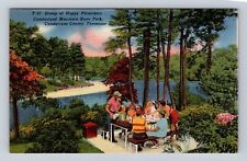 Crossville TN-Tennessee, Cumberland Mountain State Park, Vintage Postcard picture