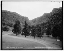 Dixville Notch from the Balsams c1900 OLD PHOTO picture