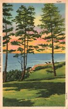 Postcard OH Tiltonsville Greetings Waterside Sunset 1939 Linen Vintage PC H9222 picture