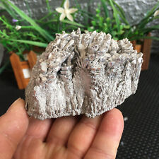 165g Rare-Magnesium-Ore-Wave-Shape-Cluster-Mineral-Specime   B838 picture
