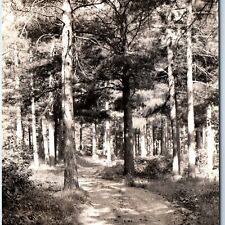 c1930s Merrill, Wis RPPC Wildwood Park Road Pine Trees Real Photo PC WI Fun A166 picture
