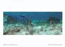 Ship Wreck of the Mandalay at Biscayne National Park Florida Postcard picture