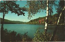 Scenic View, First Strokes Of Autumn Paint Brightens A Secluded Lake Postcard picture