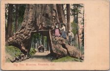 c1900s YOSEMITE NATIONAL PARK California Postcard 