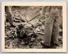 WW2 Photo DEAD Japanese Soldiers ditch World War Two Photograph vintage military picture