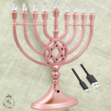 Traditional LED Electric Silver Hanukkah Menorah Battery Or USB Powered Includes picture