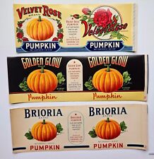 9 Vintage Old Pumpkin Can Labels, 3 Different, Brighton, IA picture