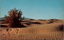 Death Valley National Park Wind Formed Sand Dune Creosote Bush Blue Sky Desert picture