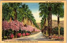 California Highway Palm Lined Ave. Cherry Blossoms Orange Grove Linen Post Card picture