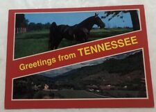 Greetings From Tennessee. Postcard (N2) picture
