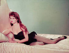 Brigitte Bardot Reclining on Bed 1955 Old Photo - Full-length portrait of actres picture