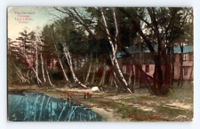 1910. JAMESON COTTAGE. TWIN LAKES, CONN. POSTCARD GG19 picture