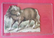 1891 Castell Brothers Diecut Mini Horse Storybook🎁🎁🐴🐴 picture