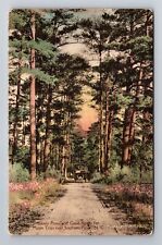 Southern Pines NC-North Carolina, Stately Pines, Roads, Vintage c1922 Postcard picture