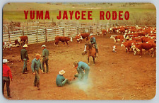 Vintage Postcard~ Yuma Jaycee Rodeo~ Yuma, Arizona~ AZ picture