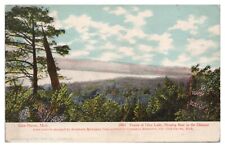 Vintage Forest of Glen Lake Glen Haven MI Postcard c1912 Curt Teich picture
