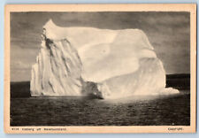 Newfoundland Canada Postcard Large Iceberg View c1930's Unposted Vintage picture