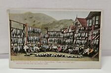 Vintage Undivided Catalina Island Postcard 5 Ton Albacore Tuna 1 Day Catch  picture