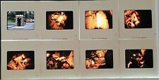 Vintage 1959 35mm Slides Mammoth Cave National Park Kentucky Lot of 8 #22132 picture