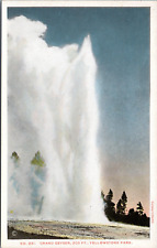 Grand Geyser, Yellowstone Park Wyoming- Haynes Postcard 221 - 200 series picture