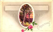 VTG EMBOSSED Postcard- Greeting, Greetings 1910 UnPost picture
