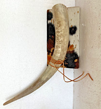 Rustic Steer Horn Wall Hanging with Cow Hide Background Unique & VTG picture