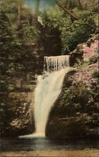 Lower Falls ~ Buck Hill Falls Pennsylvania ~ 1942 hand colored postcard picture