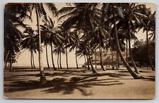 RPPC Beautiful Beach Scene and Pretty Palm Trees c1920s Postcard I23 picture