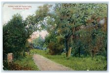1908 Lovers Lane At Devils Lake Chautauqua North Dakota ND Antique Postcard picture