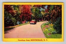 Monticello NY-New York, General Greetings, Country Lane, c1960 Vintage Postcard picture
