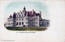 PULLMAN WA - Washington State University Postcard - udb (pre 1908) picture