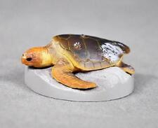 Kaiyodo Yujin Toba Aquarium Japan Exclusive Loggerhead Sea Turtle Figure Rare picture