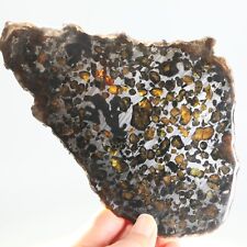 Pallasite Meteorite specimen 201g, from Kenya Sericho Africa Habaswein J208 picture